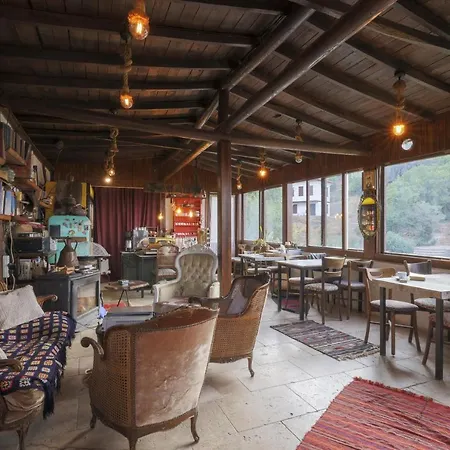 Nikbin Yamac Selçuk