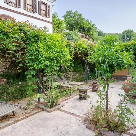 Nikbin Yamac Отель Сельчук